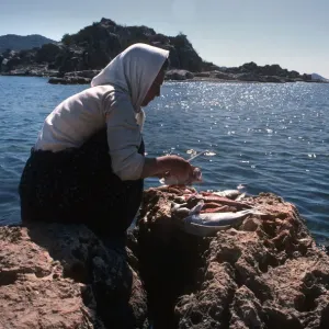 Woman cleaning fish, Turkey Woman cleaning fish, Turkey