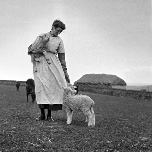 Woman on a farm with lambs and cattle