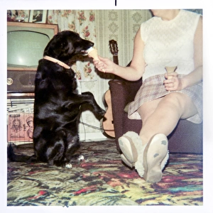 Woman feeding a dog ice cream in 1970s living room