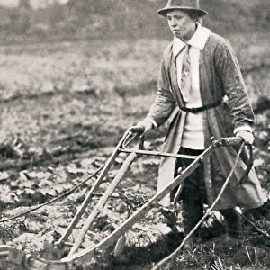 Woman ploughing a field during World War I