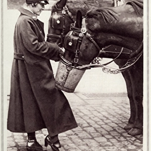 Woman working for General Post Office 1915
