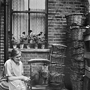 Woman in back yard with two cats