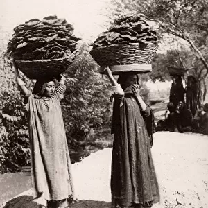 Women carrying dried manure for fuel, India