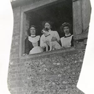 Three women with a dog at an open window