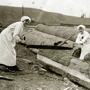 Women lumberjacks sawing trees, WW1