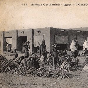 Wood Market - Timbuktu, Mali, West Africa