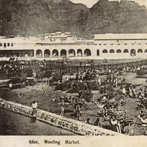 Wooding (Camel) Market, Crater (Kraytar), Aden