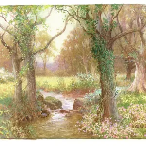 Woodland Stream in Springtime