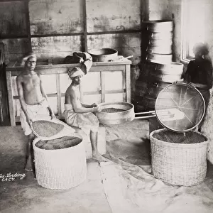 Workers in a tea factory on a plantation, India