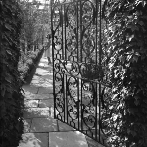 Wrought iron gate in a garden Wrought iron gate in a garden