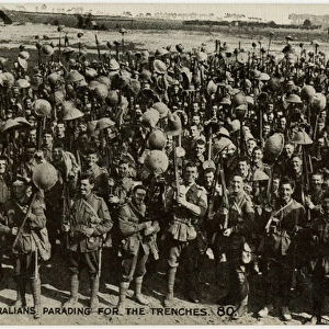 WW1 - Australian Troops who captured Pozieres