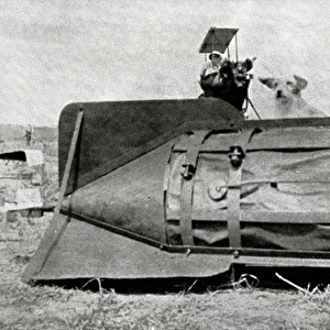 WW1 - British bomb used in Gallipoli, 1915