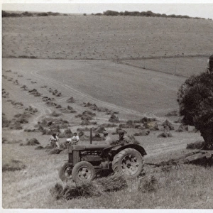 WW2 - Home Front - Agricultural workers - Harvesting crops