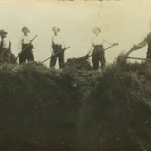 WW2 Land Army - Haymaking WW2 Land Army - Haymaking
