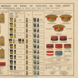 WW2 Poster -- Army Officer and other badges