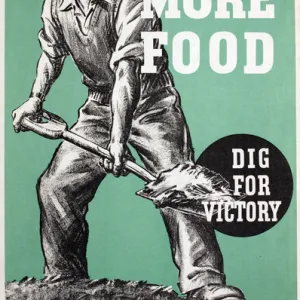 WW2 poster, Grow more food, dig for victory