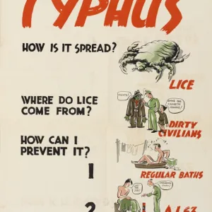 WW2 Poster -- Typhus, How Is It Spread?