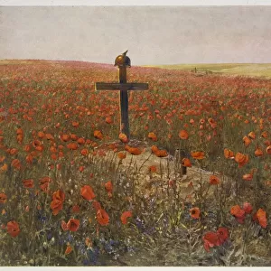 WWI - circa 1919 - Poppy Field