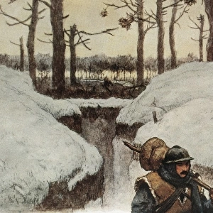 WWI. Les tranch饳blanches (white trenches)