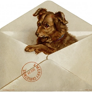 Xmas Dog in Envelope