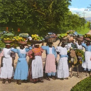 Yams & Canes taken to market - Constant Spring Road, Jamaica