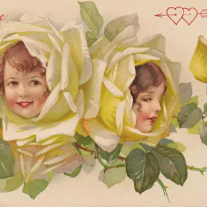 Yellow rose Flower Faces