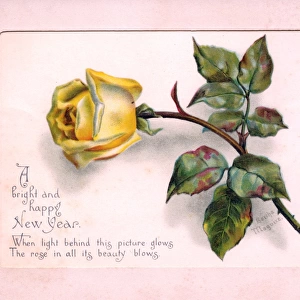 Yellow rose on a New Year card