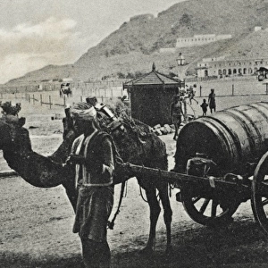 Yemen - Camel Water Cart at Aden