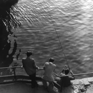 Three Young Anglers