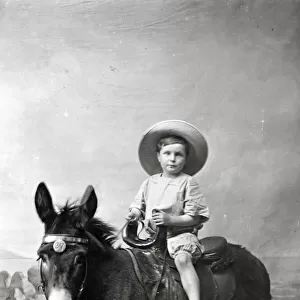 Young Boy in Summer attire - Studio photo on a donkey