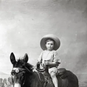 Young Boy in Summer attire - Studio photo on a donkey