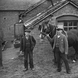 Two young men with horse on a farm