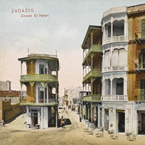 Zagazig - Egypt