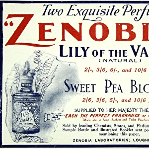 Zenobia perfumes