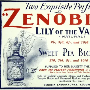 Zenobia perfumes