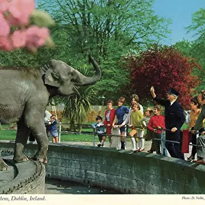 The Zoological Gardens, Dublin, Republic of Ireland
