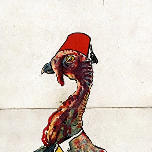 Zoological Misfitz - Squire Turkey