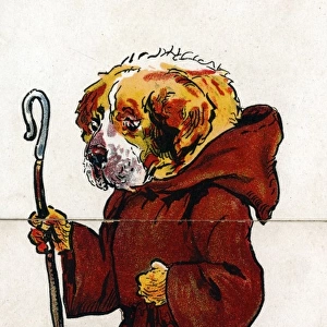 Zoological Misfitz - St Bernard dog