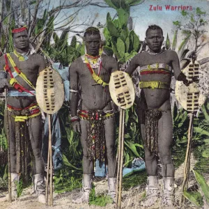 Zulu Warriors - Southern Africa