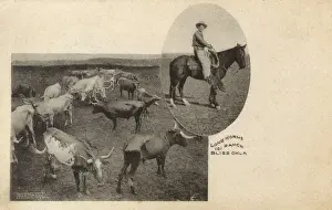 Ranch Prints: 101 Ranch - Longhorn Cattle - Bliss, Oklahoma, USA