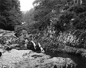 Images Dated 12th July 2011: 10190244