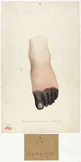 13741368