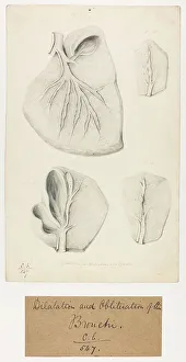 13741537