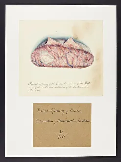 13741627