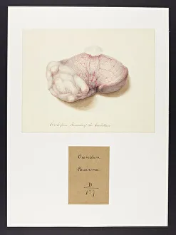 13741641