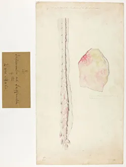 13741644