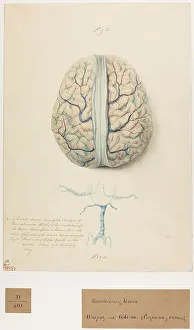 13741660
