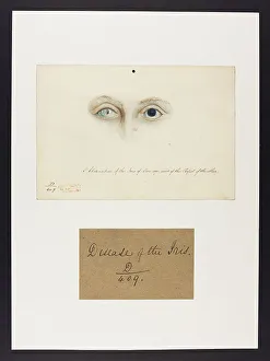 13741665