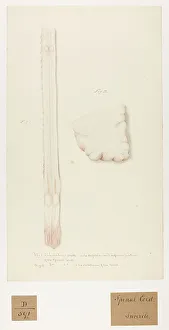 13741680
