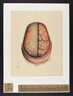 13741687